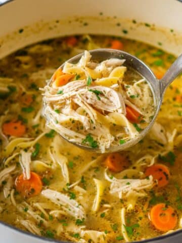 Best Chicken Noodle Soup with Egg Noodles Recipe