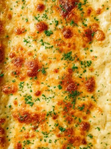 Roasted Garlic Potatoes au Gratin Recipe