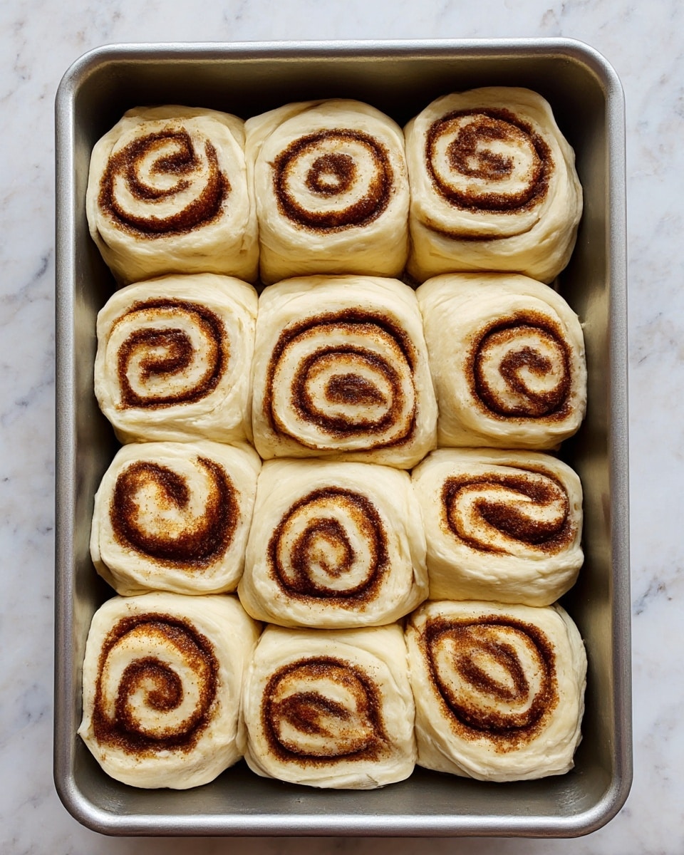 A rectangular metal tray holds twelve uncooked cinnamon rolls arranged in three rows of four. Each roll shows two visible layers: a creamy light dough forming the outer layer, and a thick spiral of dark brown cinnamon sugar filling swirled evenly inside. The dough looks soft and slightly puffed, with a smooth texture, while the filling has a granular appearance with tiny specks of cinnamon. The tray is set on a white marbled surface, adding a clean and bright contrast to the warm tones of the rolls. photo taken with an iphone --ar 4:5 --v 7