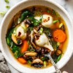 Potsticker Soup Recipe