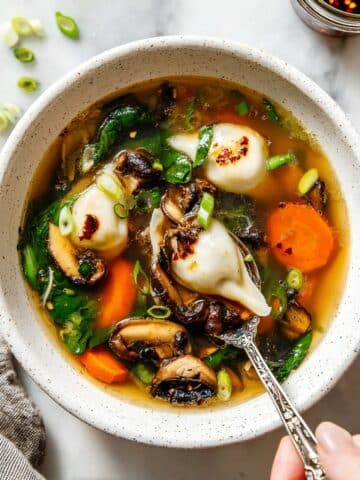 Potsticker Soup Recipe