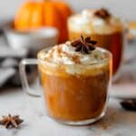 Instant Pot Pumpkin Apple Cider Recipe