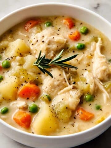 Instant Pot Chicken and Dumplings Recipe