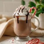 Crockpot Peppermint Hot Chocolate Recipe