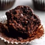 Double Chocolate Chip Muffins Recipe