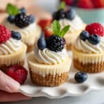 Mini Cheesecakes with Graham Cracker Crust Recipe