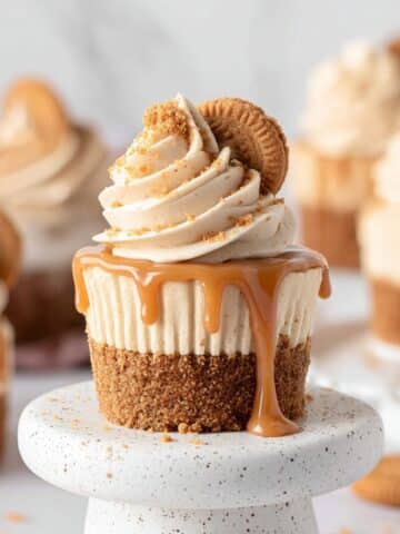 Mini Biscoff Cheesecakes Recipe
