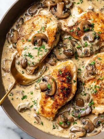 Creamy Mushroom Chicken Recipe
