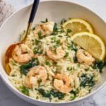 Lemon Garlic Shrimp Orzo Recipe
