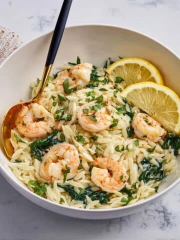 Lemon Garlic Shrimp Orzo Recipe