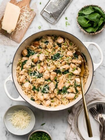 One Pot Chicken Orzo Recipe