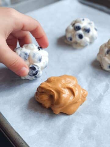 Frozen Yogurt Covered Blueberries Recipe