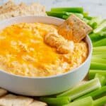 Buffalo Chicken Dip Recipe