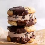 Chocolate Peanut Butter Ice Cream Sandwiches Recipe