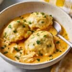 Slow Cooker Chicken and Dumplings Recipe