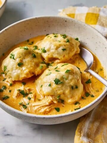 Slow Cooker Chicken and Dumplings Recipe