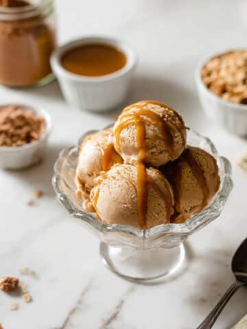 Chocolate Peanut Butter Ninja Creami Protein Ice Cream Recipe