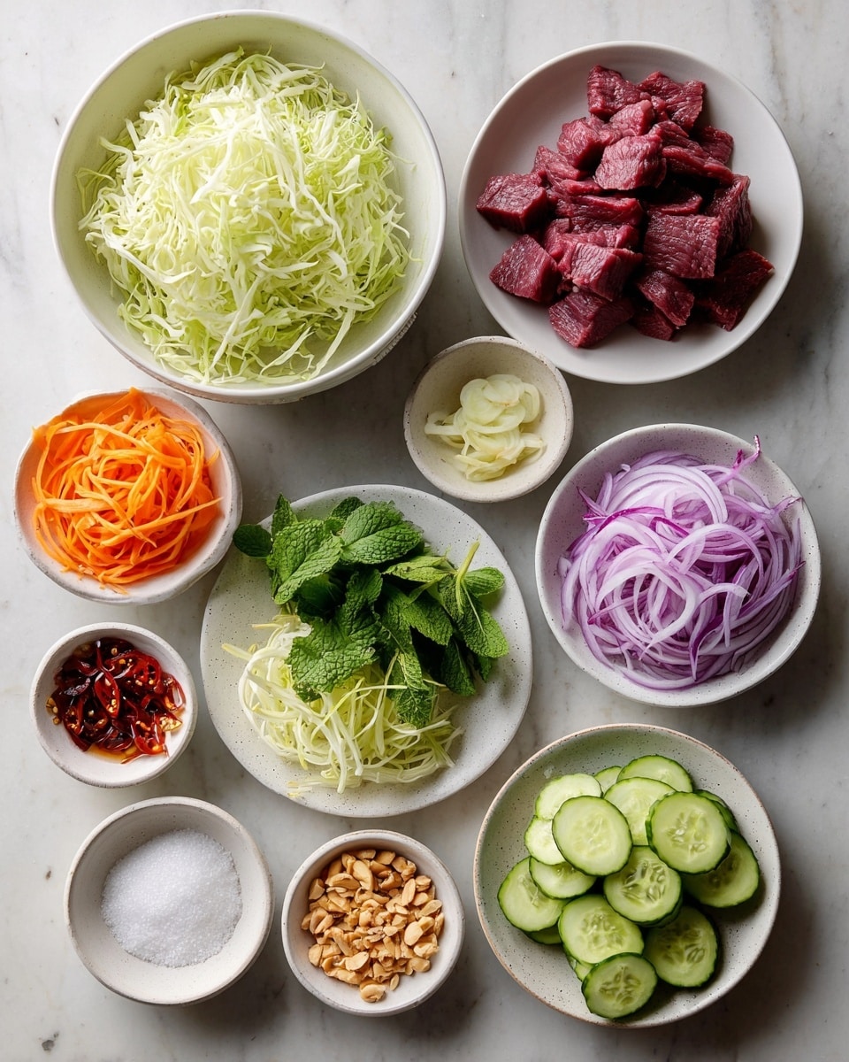 The image shows nine white plates and bowls arranged on a white marbled surface. One large white bowl holds thinly shredded pale green cabbage, another bowl contains chunks of raw deep red beef, and a third has shredded cabbage mixed with fresh green mint leaves on one side. There is a plate of thinly sliced purple onion rings, a plate with bright orange thin carrot strips, and a plate with round cucumber slices showing pale green seeds. A small white bowl is filled with coarse white salt, another has dark brown sliced chili in a reddish oil, and a small plate holds crushed light brown peanuts. The colors and textures contrast clearly with the white marbled surface, giving a fresh and clean look. Photo taken with an iphone --ar 4:5 --v 7