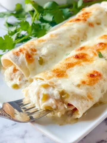 White Chicken Enchiladas Recipe