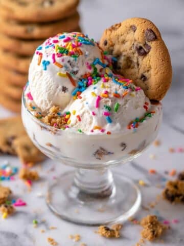 Ninja Creami Vanilla Protein Ice Cream Recipe