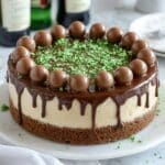 Baileys No Bake Cheesecake Recipe