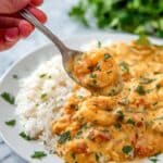 Coconut Shrimp Curry Recipe
